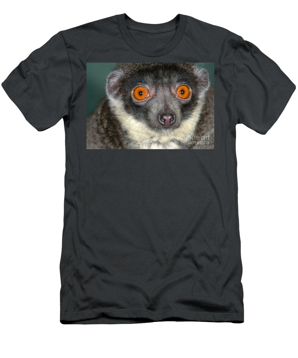 1 Mongoose Lemur Art Wolfe T-Shirt