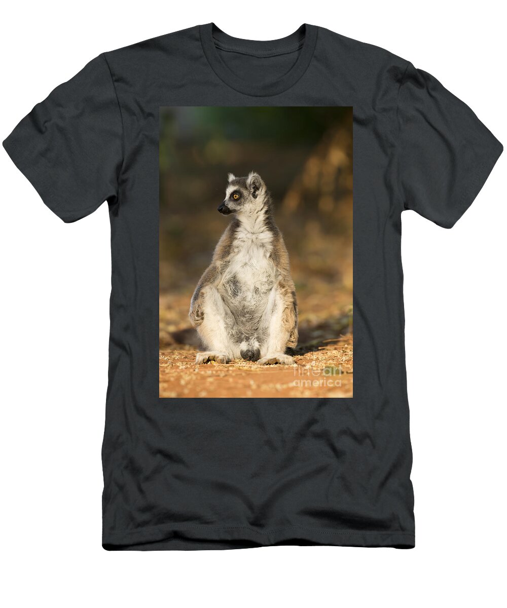 1 Ring Tailed Lemur Tony Camacho T-Shirt