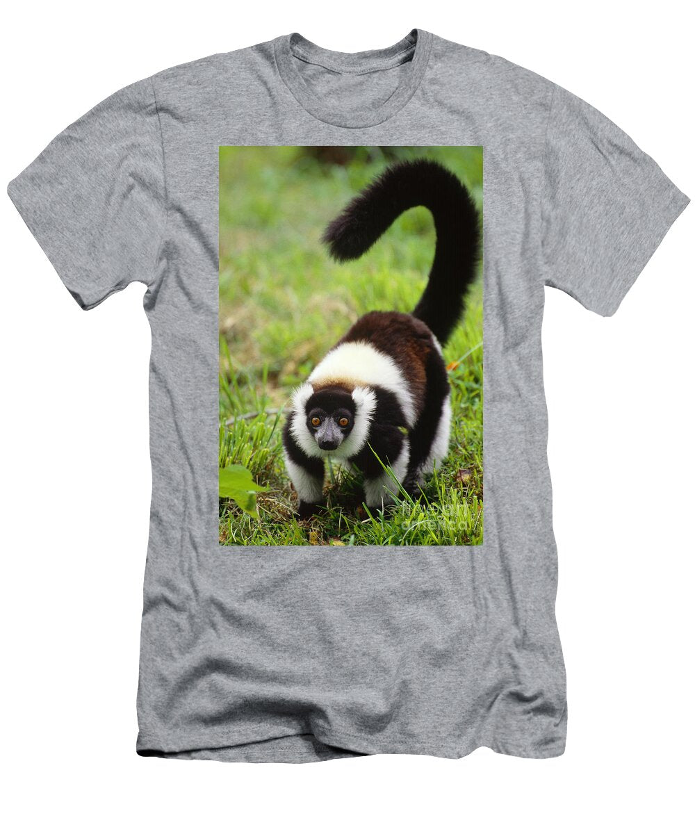 1 Ruffed Lemur Madagascar Art Wolfe T-Shirt