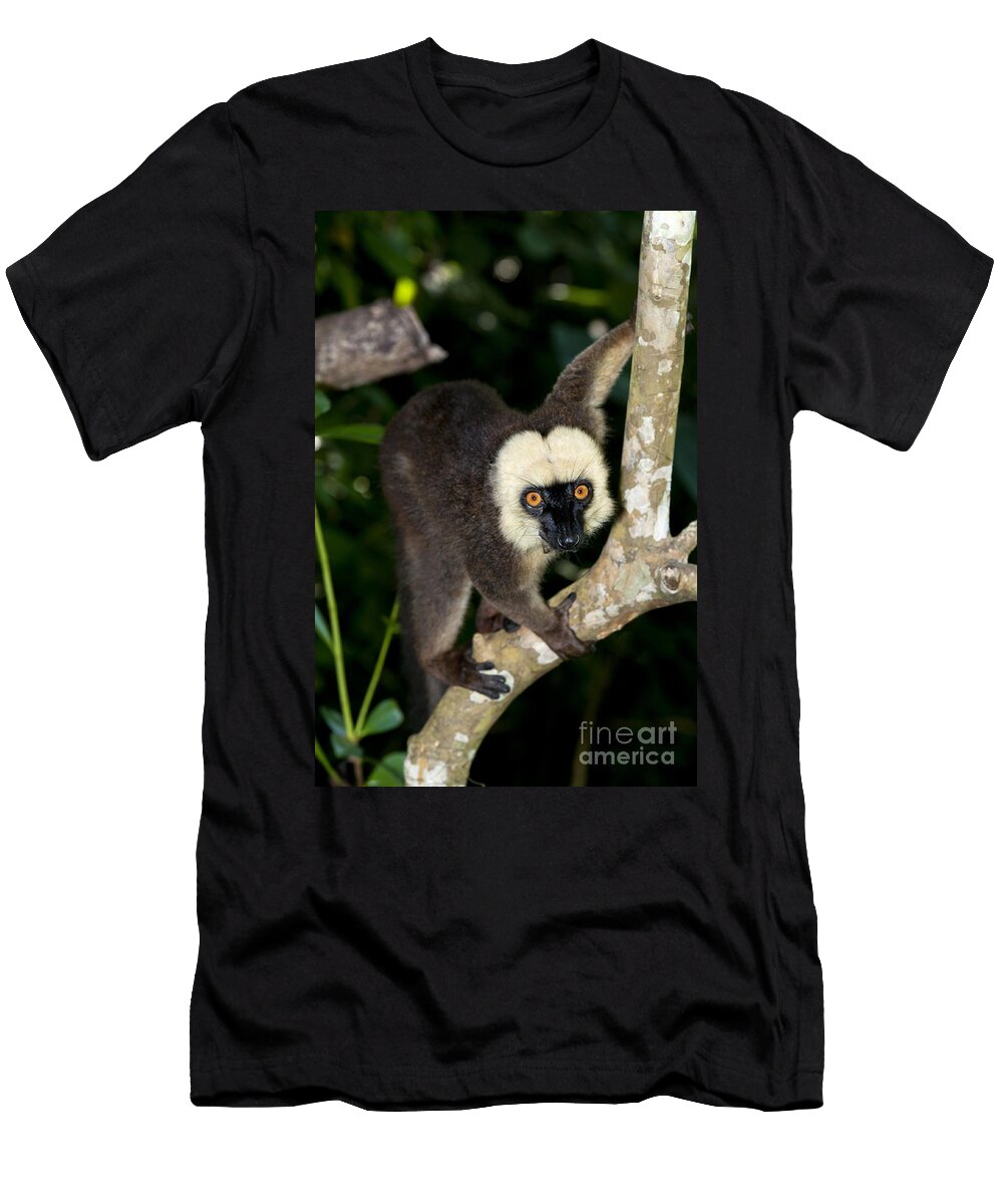 1 White Headed Lemur Tony Camacho T-Shirt
