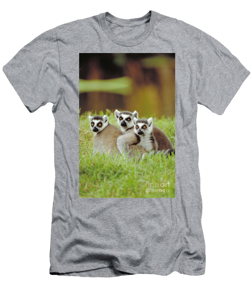 3 Ring Tailed Lemur Art Wolfe T-Shirt