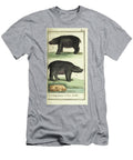 Buffons Antique Illustration Showing Hippopotamus Male and Fema Ar4 Historic Illustrations T-Shirt