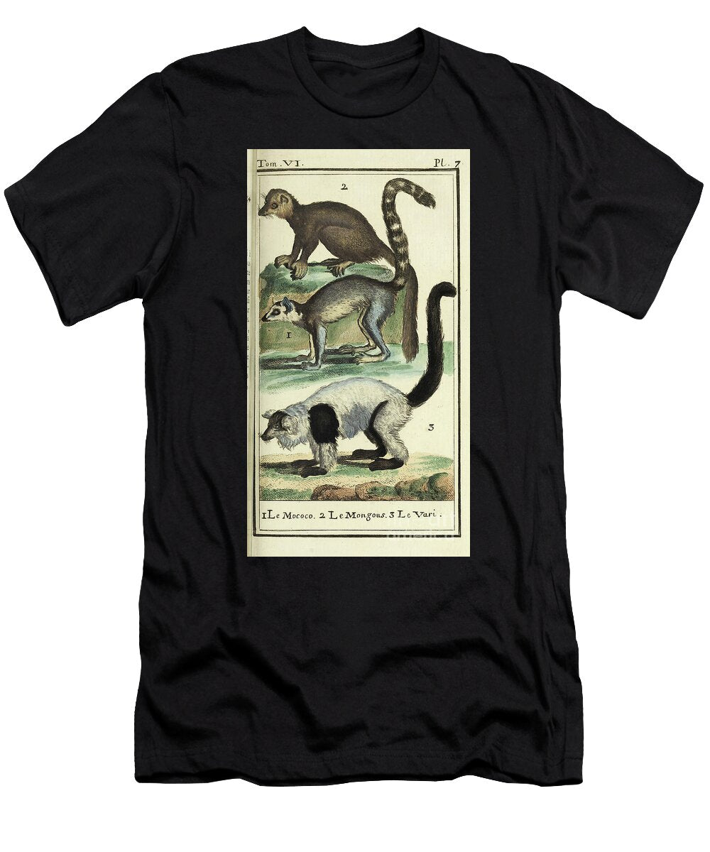 Buffons Natural History Illustrating Mococo Mongous and Vari Ar3 Historic Illustrations T-Shirt
