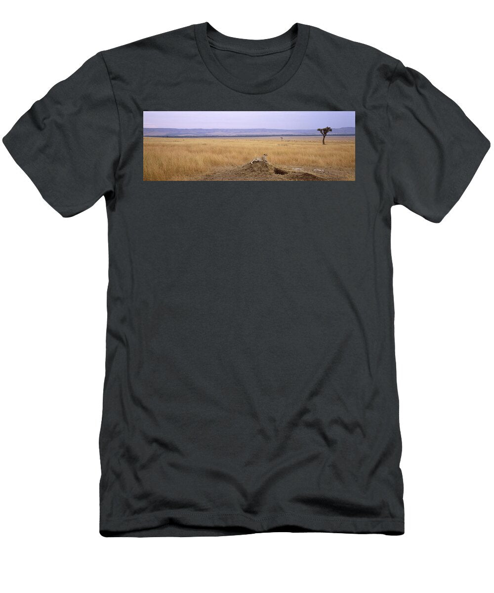 Cheetah Acinonyx Jubatus Sitting Animal Images T-Shirt