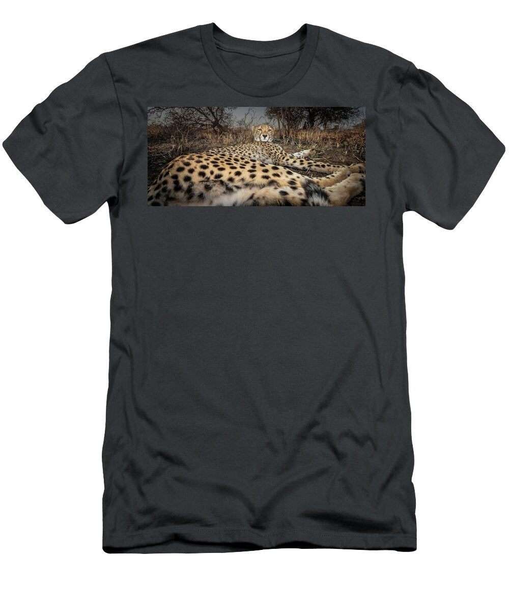 Cheetah Resting Wild But Habituated Animal Zimanga Game Wim Van Den Heever Natureplcom T-Shirt