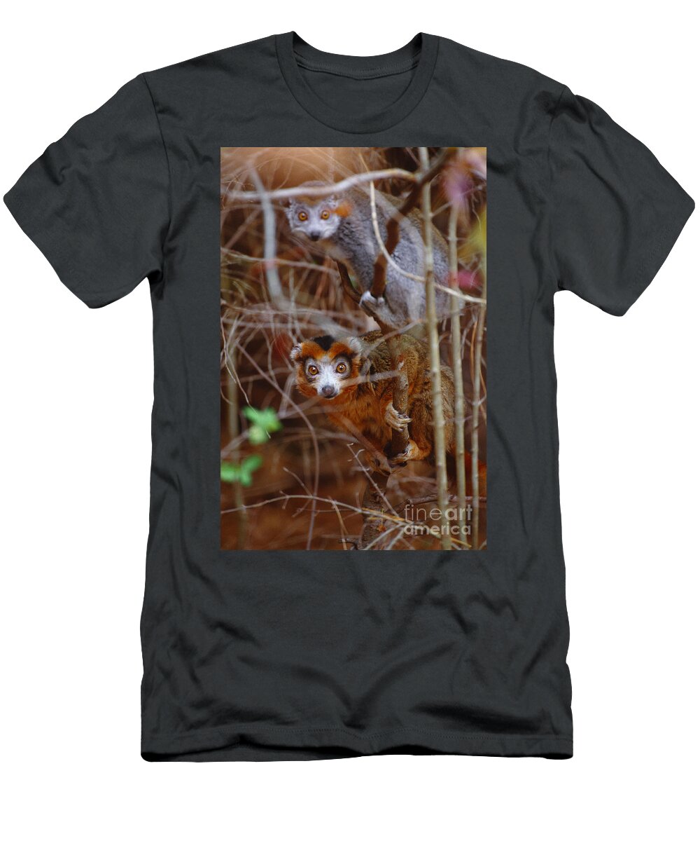 Crowned Lemurs Madagascar Art Wolfe T-Shirt
