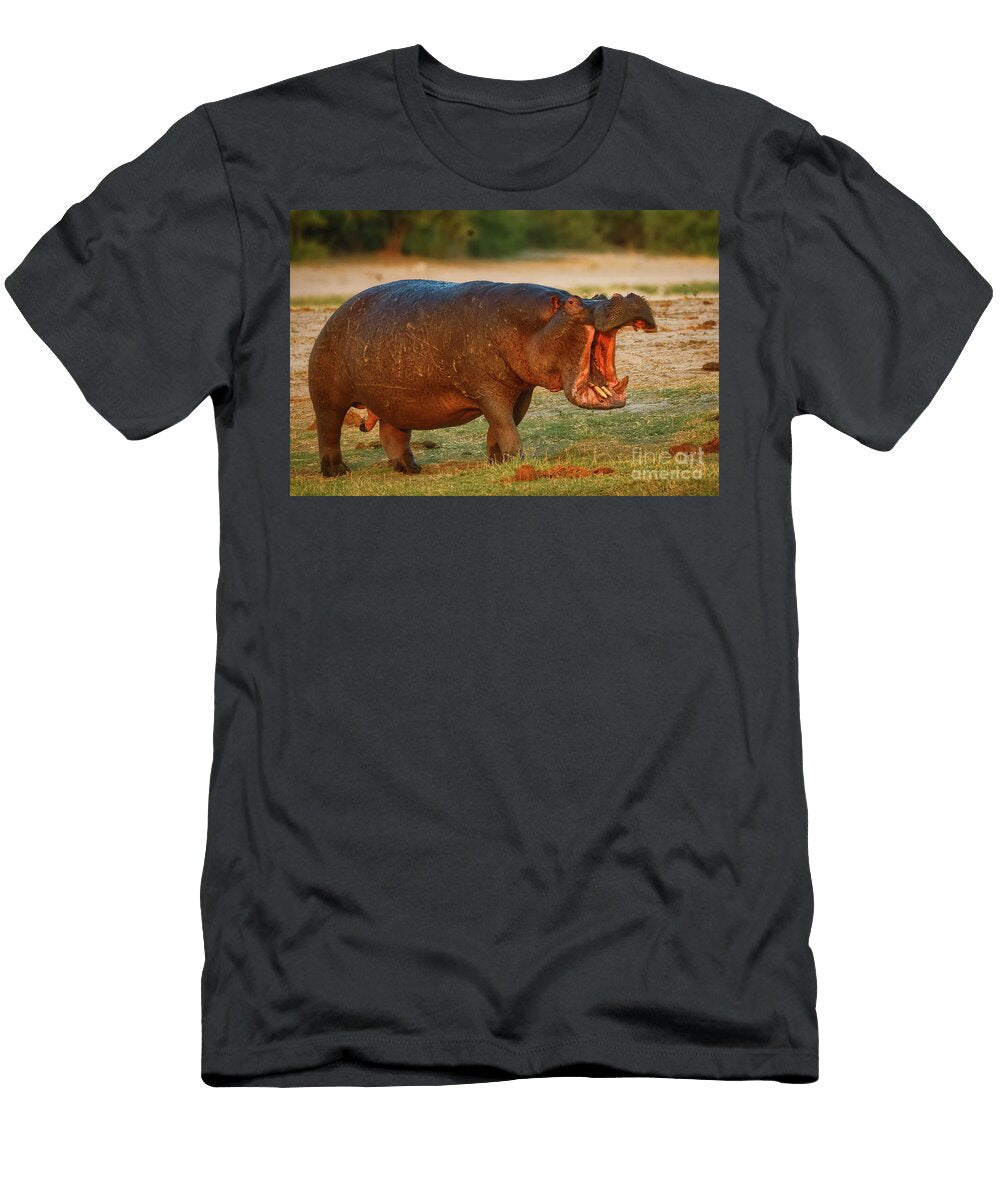 Displaying Hippopotamus on Banks of Chobe River Natural Focal Point Photography T-Shirt