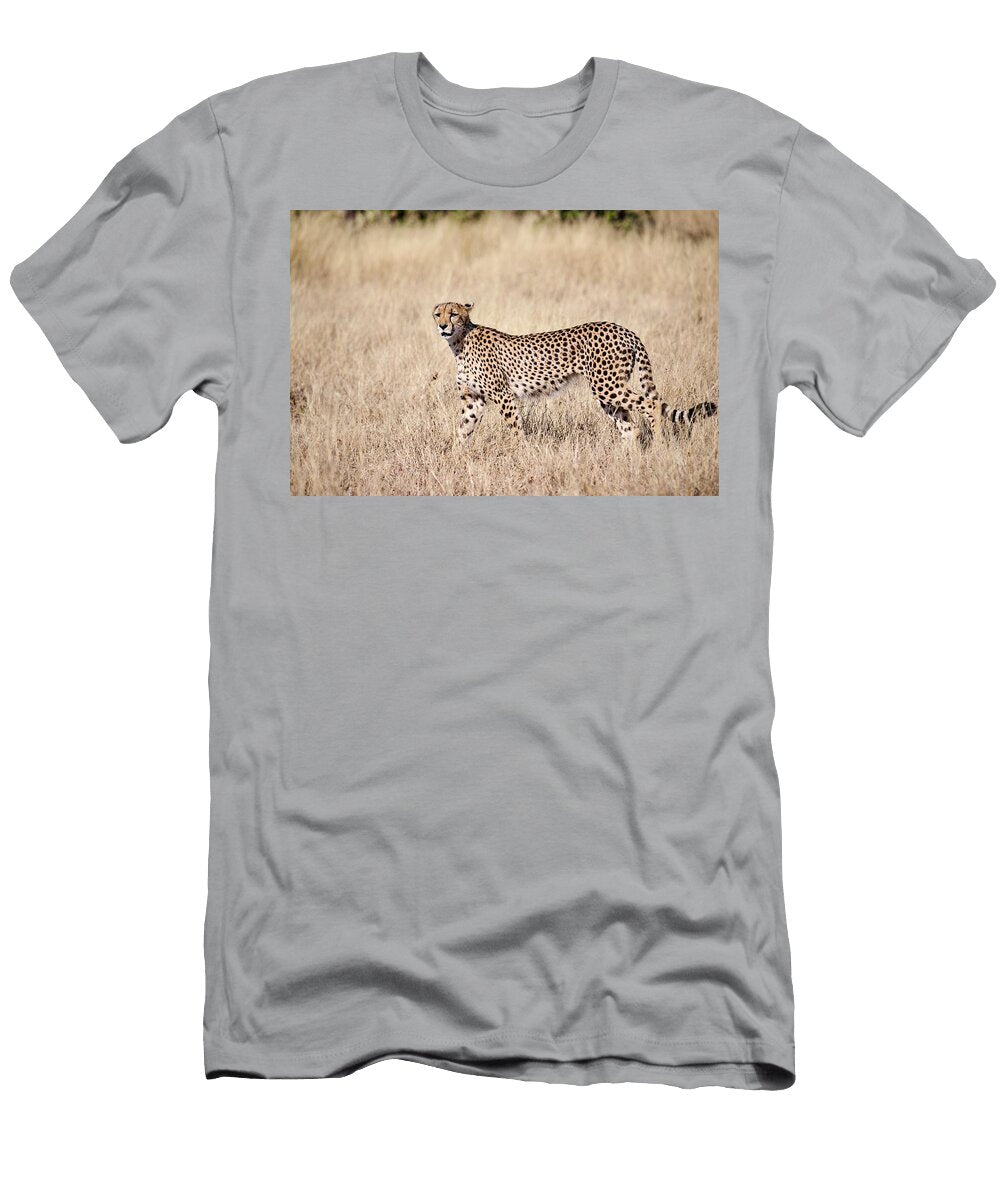 Female Cheetah Walking in the Savannah Okavango Delta Eric Baccega Natureplcom T-Shirt