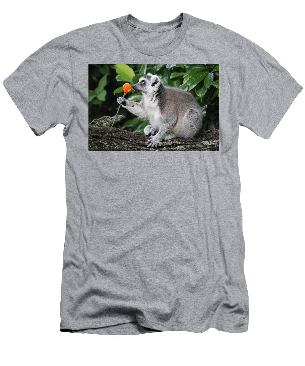 Lemur Sugar Amy Emling T-Shirt