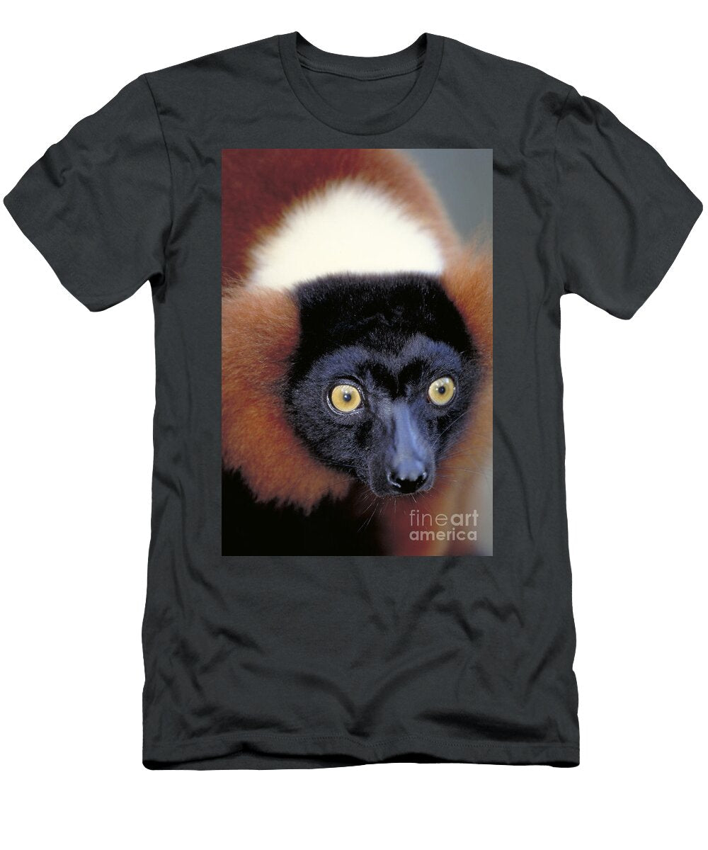 Red Ruffed Lemur Madagascar Art Wolfe T-Shirt