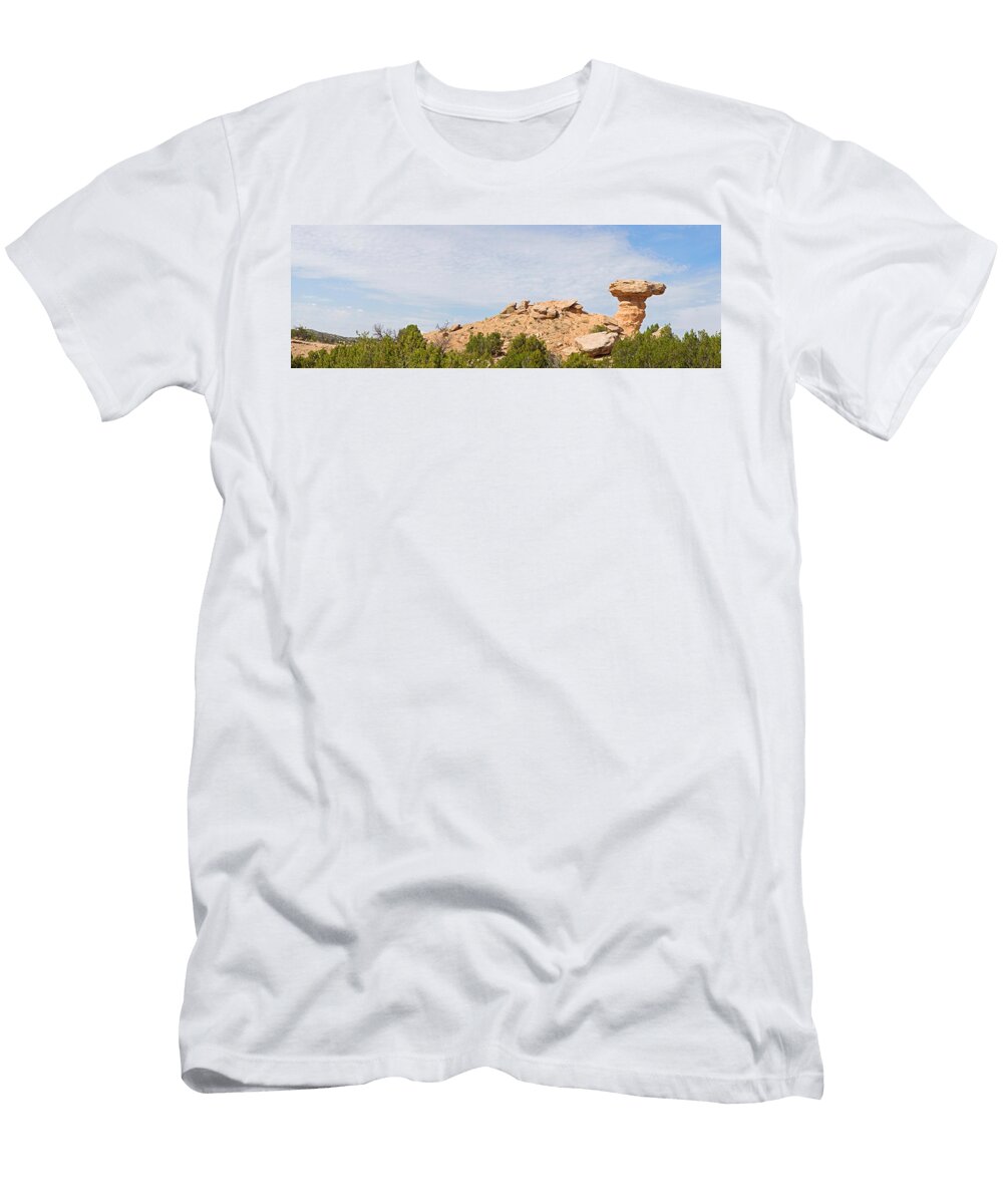 Rock Formation on a Landscape Camel Panoramic Images T-Shirt