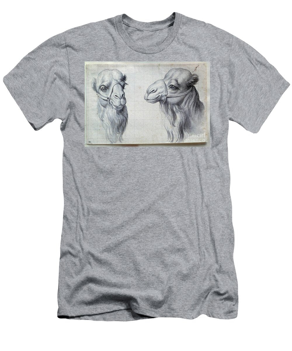 Studies of Two Camel Heads 17th Century Engraving Charles Le Brun T-Shirt