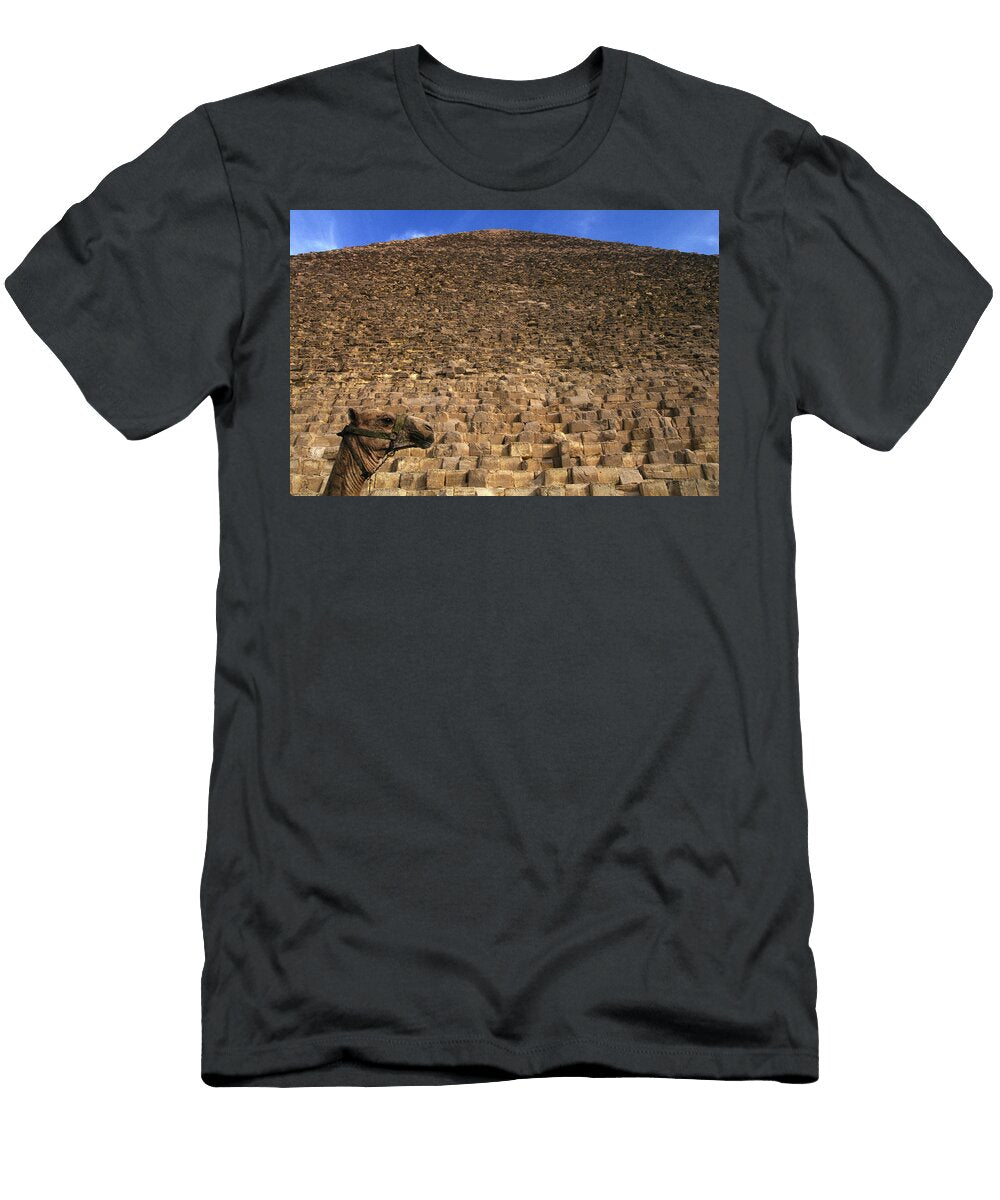The Shadow of a Camel Head in Front Peter Essick T-Shirt