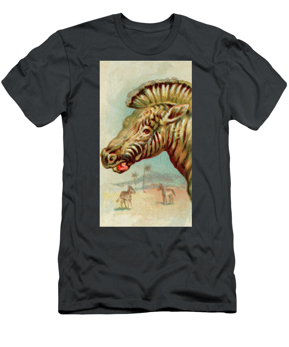 Zebra Vintage Animal Illustration Picked and Shared T-Shirt